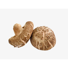 Cogumelo Shiitake de Flor de Legumes Frescos